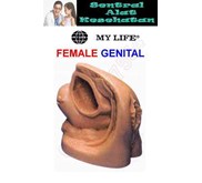 BONEKA PHANTOM ORGAN REPRODUKSI PRIA | MALE GENITAL MODEL | DUMEDPOWER