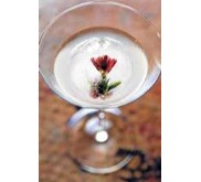 bali liquid solution supplyer