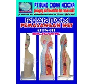 PHANTOM ALAT PERAGA PEMASANGAN NGT [ NASOGASTRIC TUBE FEEDING ]