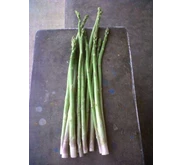 asparagus