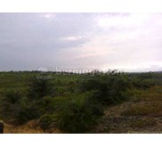 tanah 5000 h