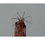 Lightning Protection for Tower Telecomunication with DAS