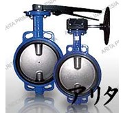 Butterfly Valve Cast Iron Body