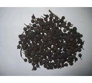 Kemukus/ Tail Pepper