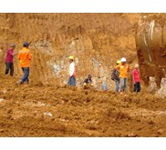 Nickel Ore
