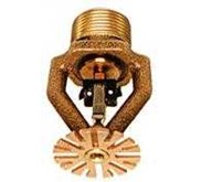 ESFR Pendent