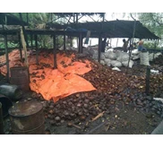 arang batok kelapa Riau
