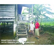 Briket Batubara Telor & Jengkol untuk Pemanas Doc Ternak Ayam