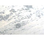 MARMER PANTHER WHITE Raspari Granitonusa