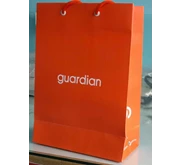 PAPER BAG GUARDIAN