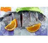 Ikan Potong
