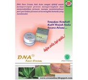 Cream DNA Anti Acne ( jerawat) Halal, aman dan alami Seritifikat LPPOM MUI