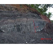 batu bara tambang