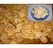 LS 020 - Polo Sari Udang