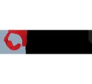 Polycom Video conference