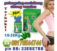 PELANGSING MEIZITANG STRONG NEW VERSION