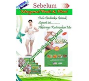 PELANGSING FRUIT PLANT NEW ORIGINAL HUB. 081380668744