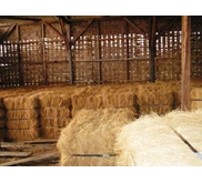 Coco Fiber