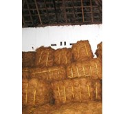 Coco Fiber