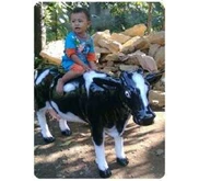 patung fiber model sapi