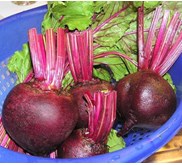beet merah