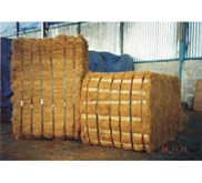 Coco Fiber