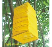 LAMPION KOTAK