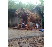 HARIMAU