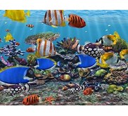IKAN HIAS