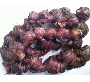 Jahe Merah ( Red Ginger)
