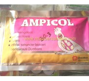 AMPICOL : Mengobati Colibacillosis, Kolera, Infeksi Sekunder Bakteri pada Kasus Gumboro