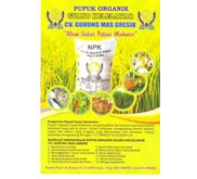 pupuk npk organik kelelawar