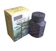OBAT PENGGEMUK BADAN