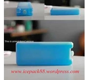 Ice Pack / Cool Pack ( Small )