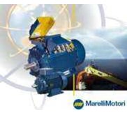 Marelli Electric Motor Agen Indonesia