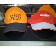 TOPI