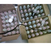 KUTEK BICHUN WARNA PUTIH SUSU, BENING DAN HITAM 8ML BISA UNTUK PELENGKAP SALON NAIL ART