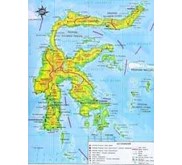 .......SUARA PANGGIL WALET SULAWESI 01 .... ....