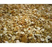 Minyak Gandum ( Wheat Germ Oil)