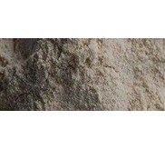 Cellulase