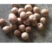 Pinang kupas bulat