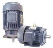 Induction Motor: TECO, LIMING, OMEGA MOTORI, WEG, SEW, WESTERN, BONGFIGLIOLI, BALDOR, MEZ.