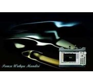 SITE MASTER ANRITSU S332E, Spectrum Analyzer