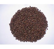 CP ( Centrocema Pubescens )