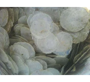 Capiz Shells