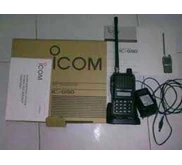 HT ICOM IC-G80