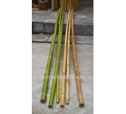 Cari bambu APUS diameter 10 - 25 mm dan 5 cm - SEKITAR JOGJA