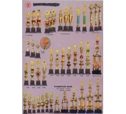 PIALA, PIALA MURAH, TOKO PIALA, GROSIR PIALA, PABRIK PIALA