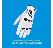 Golf Glove