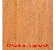 Kayu Mahogany Mahoni